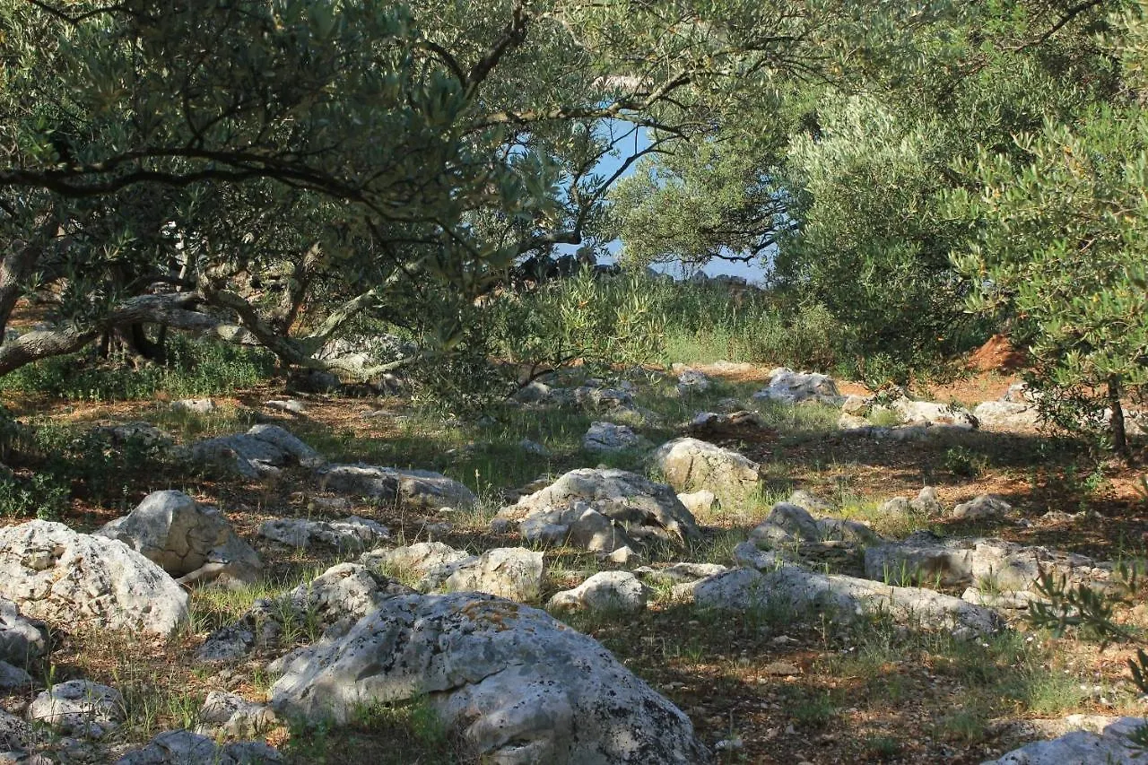 Seaside Secluded Apartments Cove Magrovica - Telascica, Dugi Otok - 8139 Sali Croatia